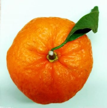 皇帝柑会不会胖 皇帝柑和橘子的区别