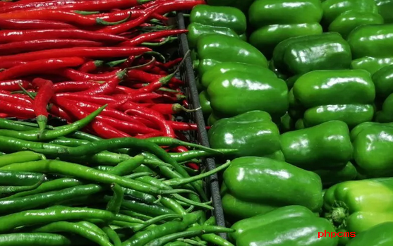 北京主要农产品批发市场免除蔬菜和5种国产水果进场交易费