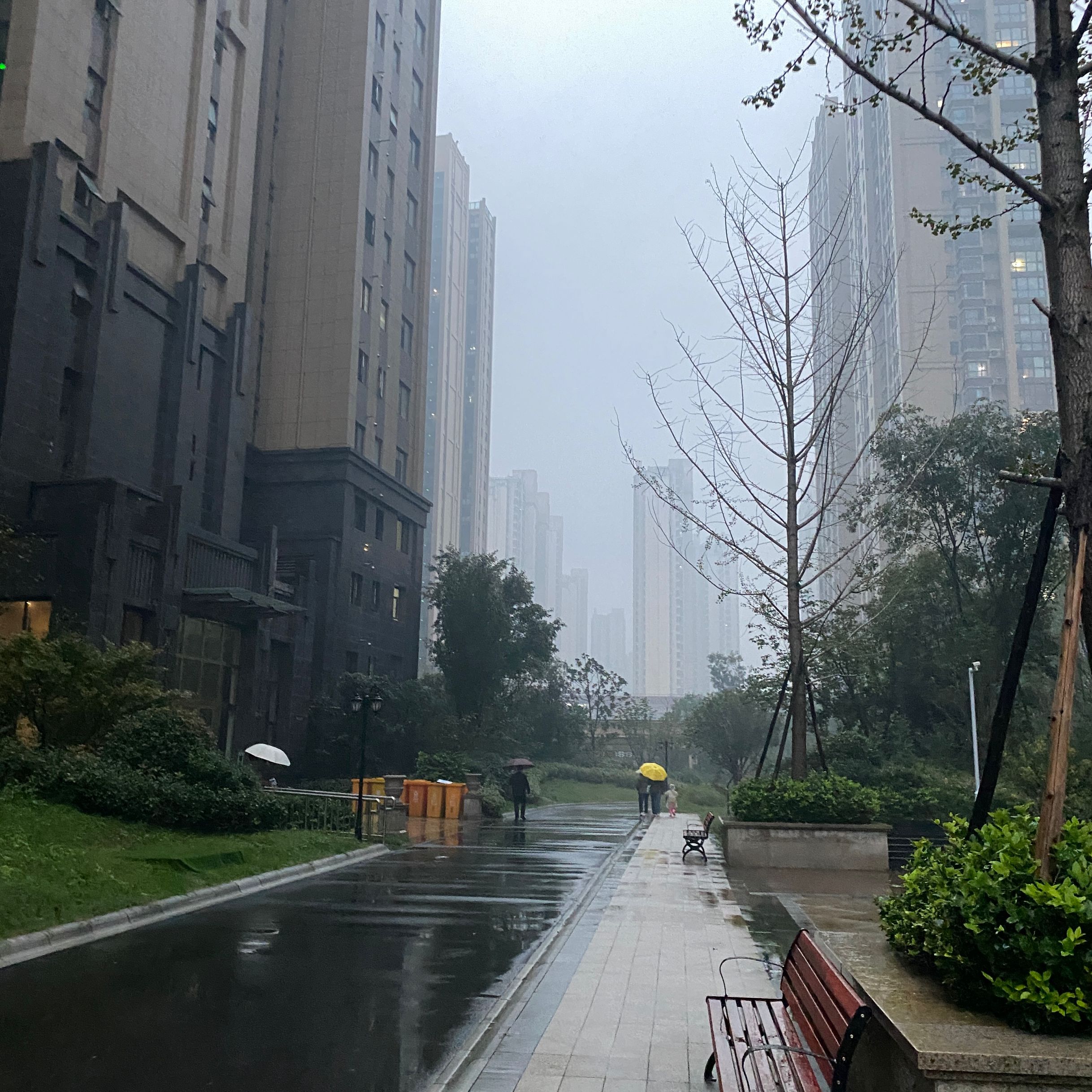 受强冷空气影响 湖南省本周阴雨天气唱主角 