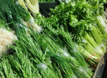 稳定菜价北京市迎来新政策 蔬菜批发价有望降低10%