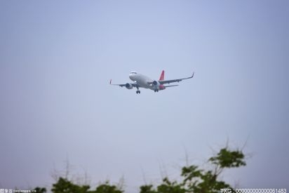 民航局向新加坡酷虎航空一航班发出熔断指令 熔断航班量不得用于其他航线