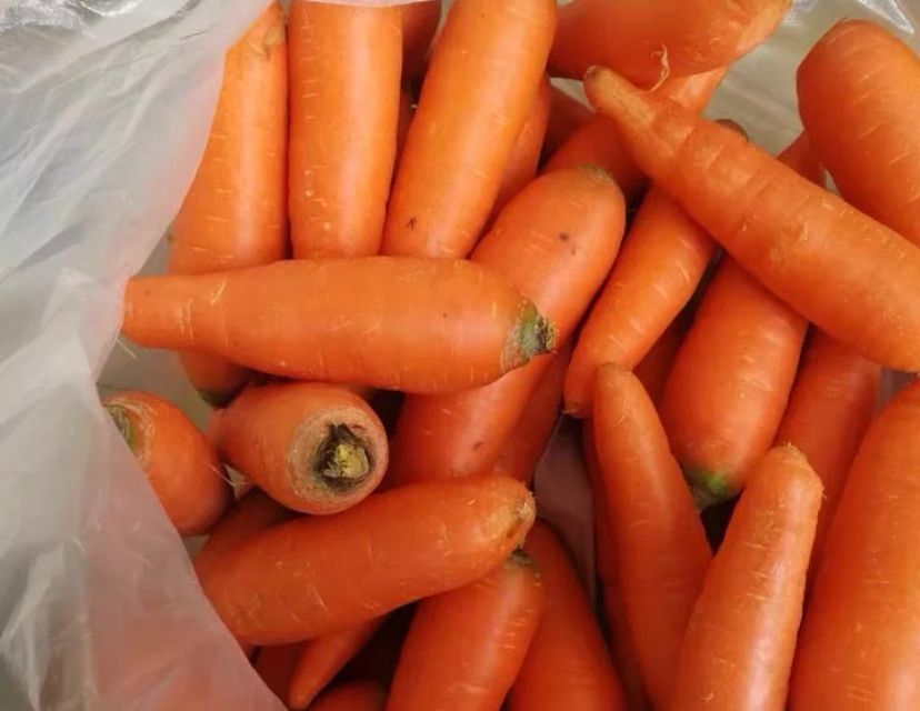 胡萝卜可以放冰箱保存吗 胡萝卜可以冷冻吗