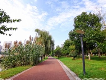 郑州明年将新建绿地面积650万平方米以上 新建提升公园游园100个