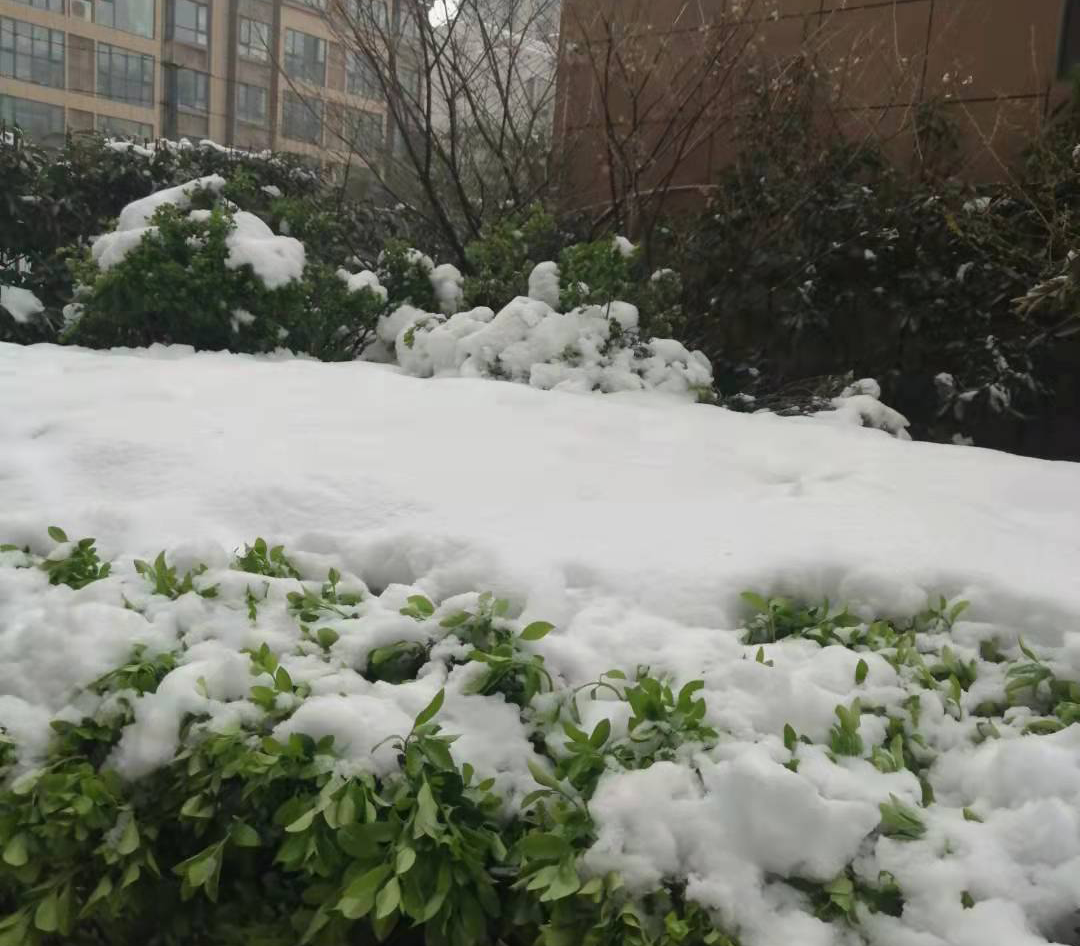 湖南69个县市区出现积雪 怀化市区降雪量最大为27.5毫米