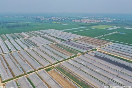 北塔區探索新型農業發展模式 農業產業種植面積擴大到4.5萬余畝