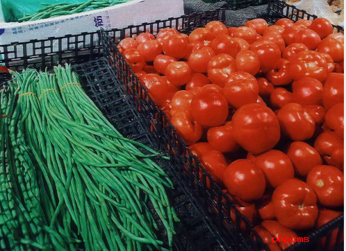 蔬菜上市量及交易量均呈现稳步增长态势 蔬菜价格在持续下降