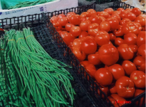 蔬菜上市量及交易量均呈现稳步增长态势 蔬菜价格在持续下降