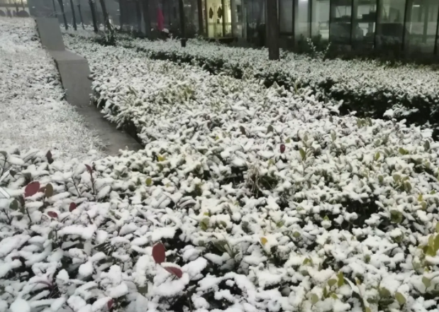 杭州昨天夜里阴有雨夹雪局部有雪 下周二三还将有一次雨雪过程