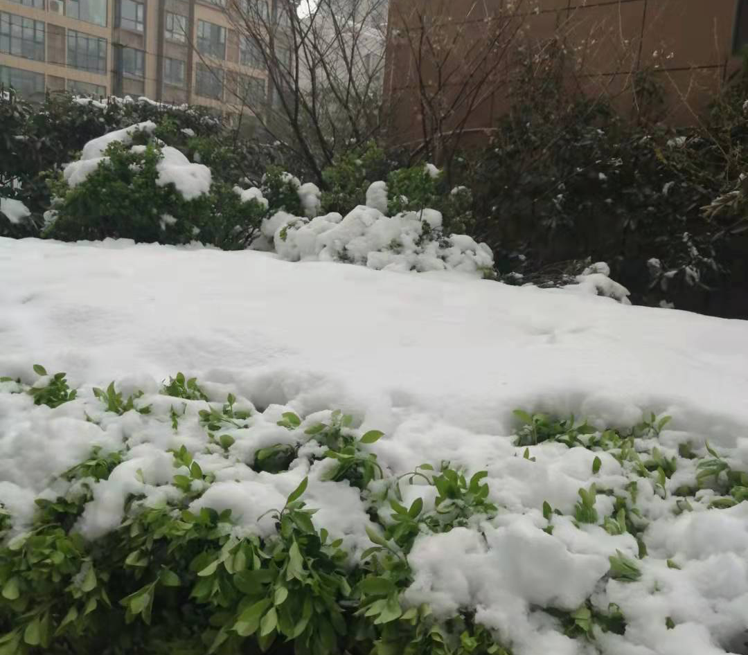 注意！湖南88个县市区出现雨夹雪或降雪天气