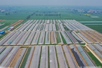 4100畝！漳州下達2022年補充耕地任務