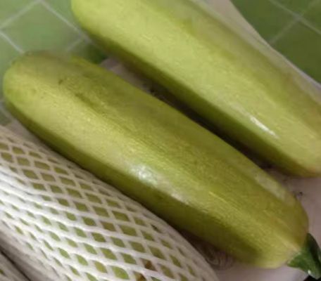 生瓜和西葫芦是同一种菜吗？西葫芦原产于哪里？