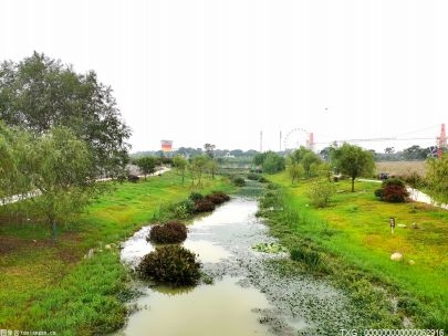 安徽怀洪新河水系洼地治理主体工程完工 预计6月底全面完成