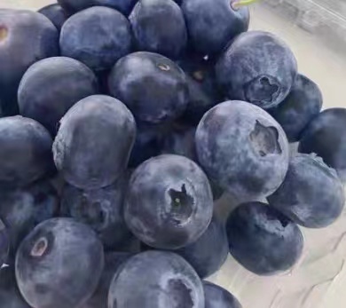 蓝莓上的白霜越多越好吗？吃蓝莓的注意事项有哪些？