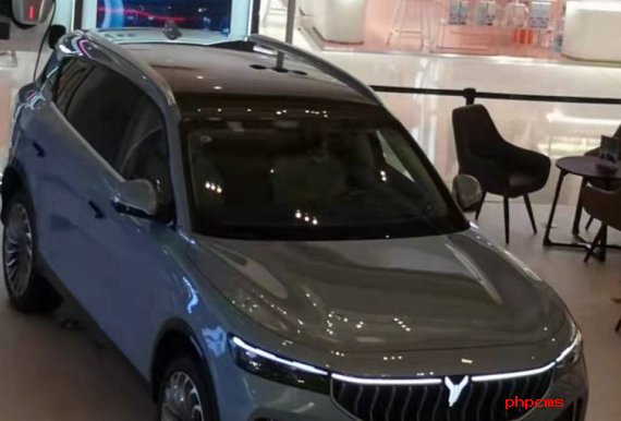 广州：购买符合要求的新能源汽车 最高可获补贴1万