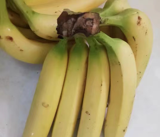 香蕉怎么放不容易变黑？香蕉可以放几天？