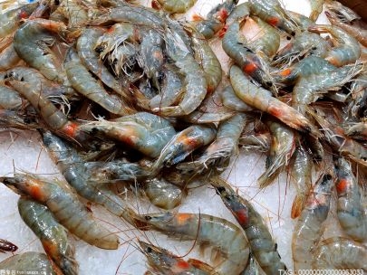 基围虾煮多久才熟透？吃基围虾的注意事项有什么？