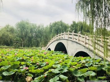运河边将添新地标！杭州拱墅区小河公园预计8月底基本建成