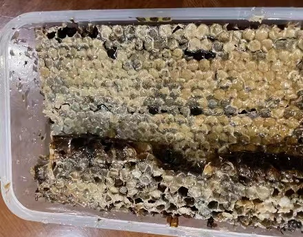 老巢蜂蜜为什么是黑的？老巢蜜的食用方法是什么？