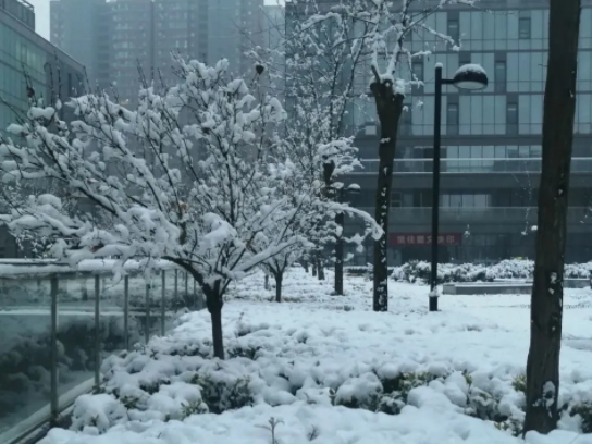2023年元旦期间武汉会有大雪吗？武汉每年冬天都下雪吗？