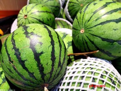 西瓜的果实是由什么组成？西瓜的果实是怎么发育的 ？