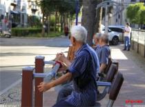 60岁及以上老年人口将突破3亿 老人数字鸿沟成为共性难题