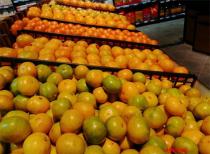 “高端柑橘”“进口蜜橘”价格高出数倍 买水果选贵的不明智