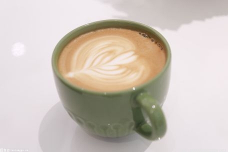 咖啡渣种什么植物比较好？湿咖啡渣怎么弄干？